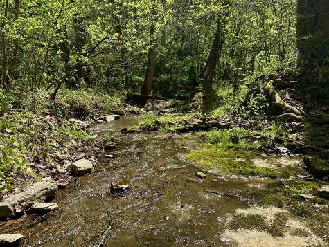 0 Ponder Road Smithville TN 37166