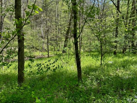 0 Ponder Road Smithville TN 37166