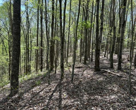 0 Ponder Road Smithville TN 37166