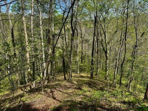 0 Ponder Road Smithville TN 37166