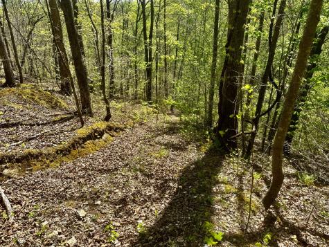 0 Ponder Road Smithville TN 37166