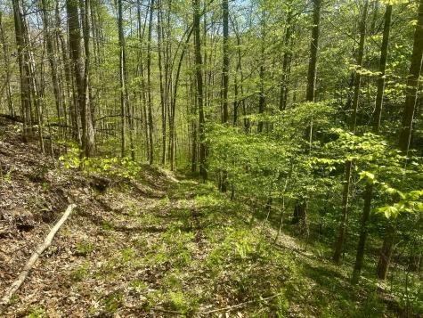 0 Ponder Road Smithville TN 37166
