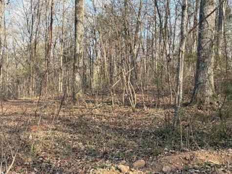 13356 Ellison Trace Birchwood TN 37308