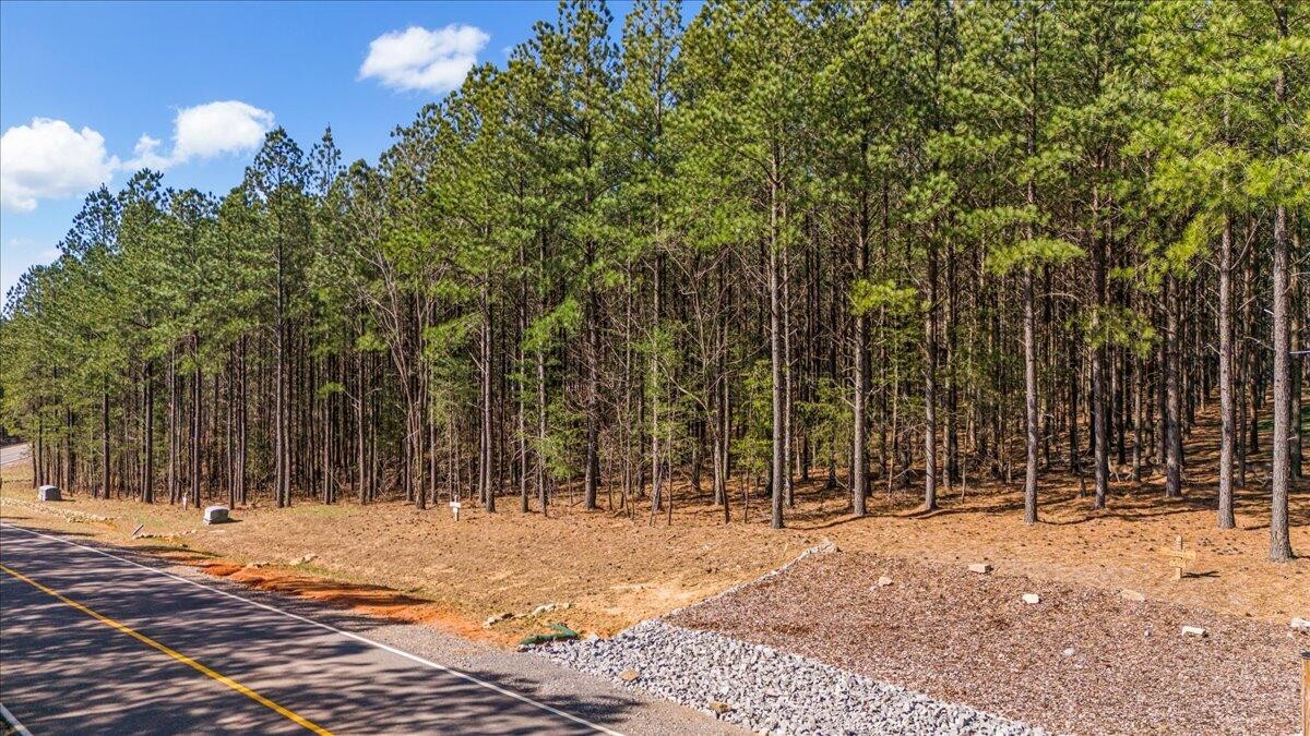 3940 Crockett Point Jasper TN 37347
