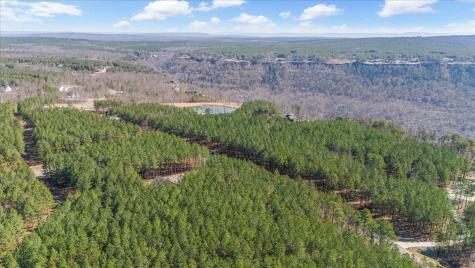 3940 Crockett Point Jasper TN 37347