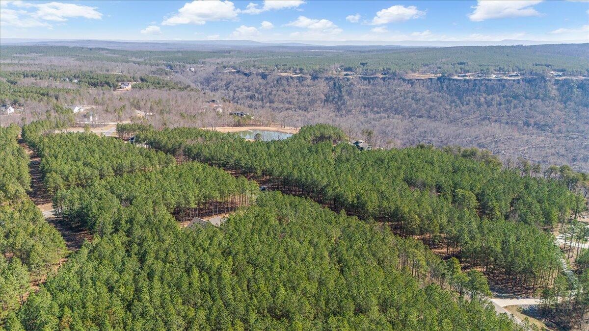 3940 Crockett Point Jasper TN 37347
