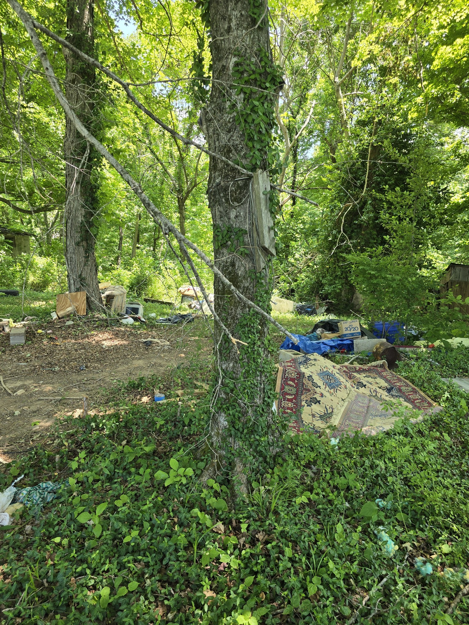 701 Stinson Road Bon Aqua TN 37025