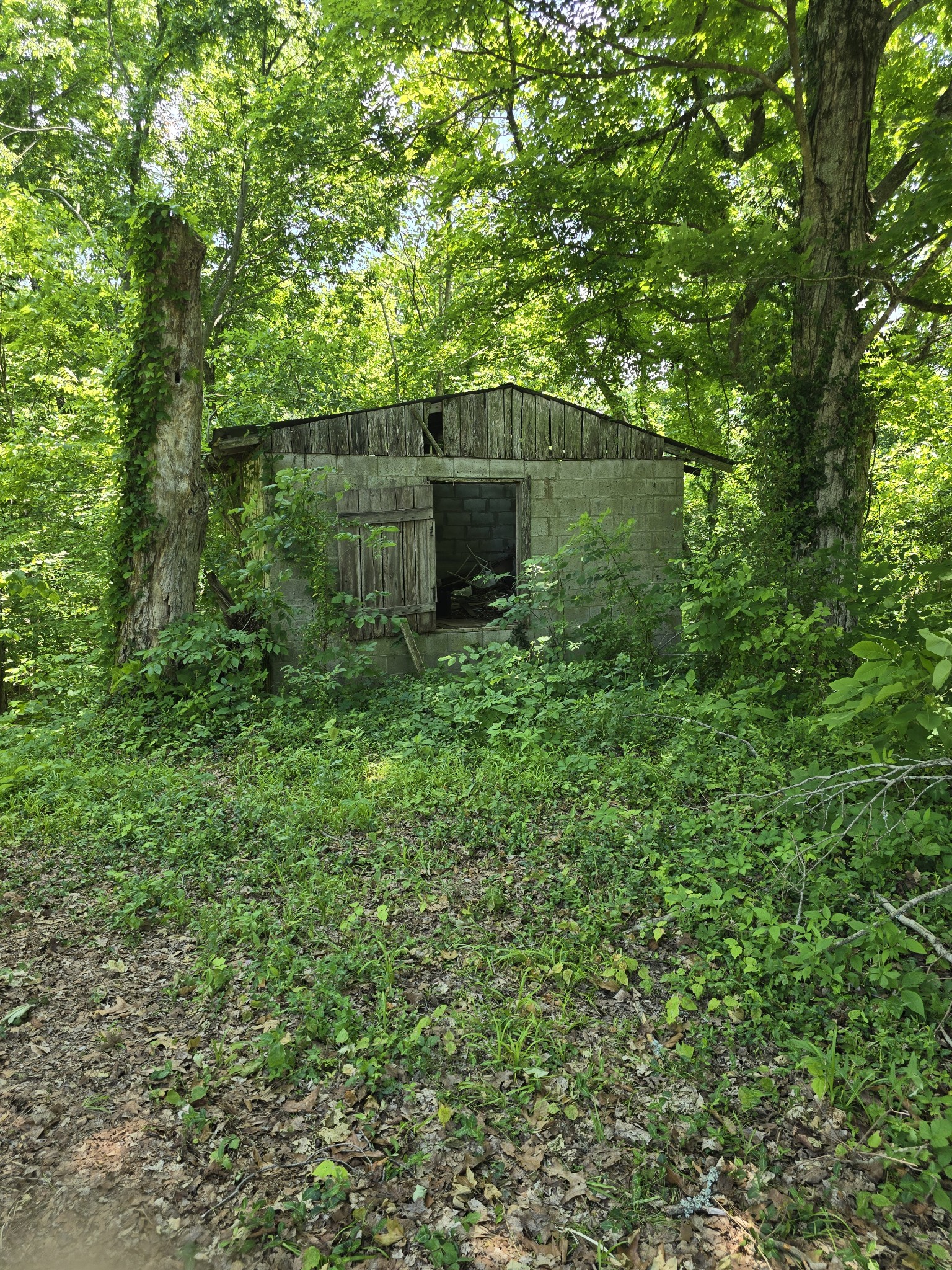 701 Stinson Road Bon Aqua TN 37025