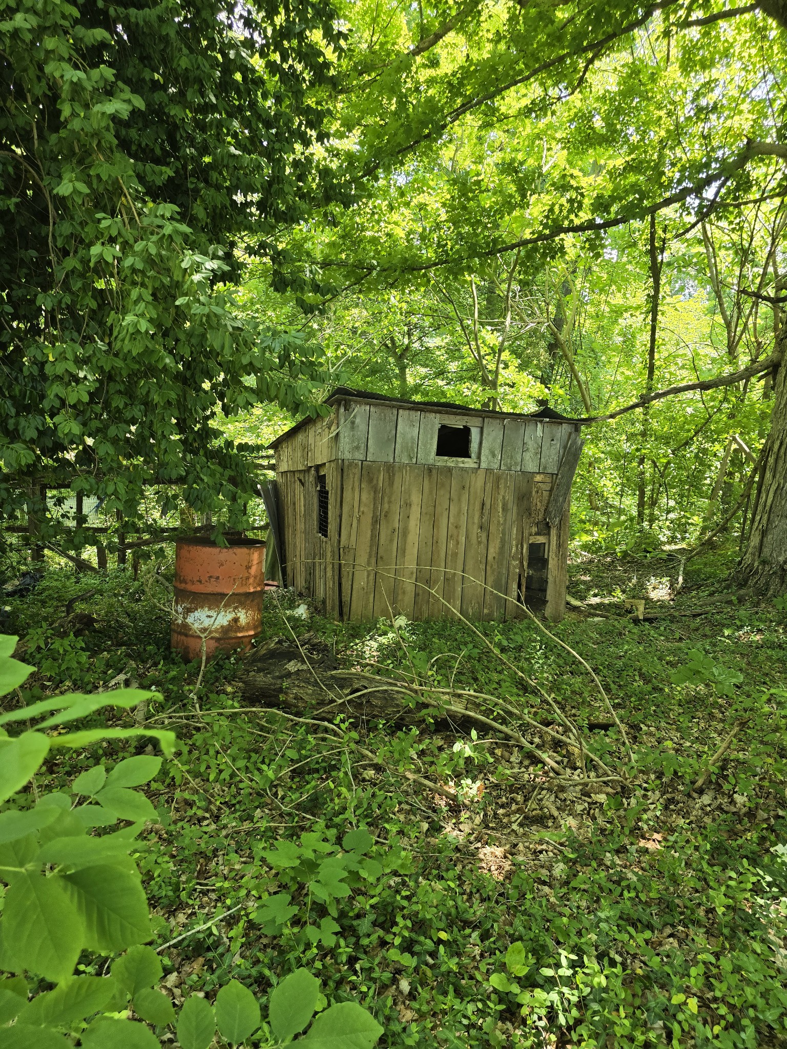 701 Stinson Road Bon Aqua TN 37025