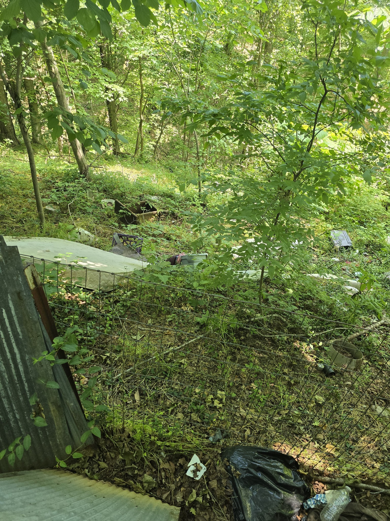 701 Stinson Road Bon Aqua TN 37025
