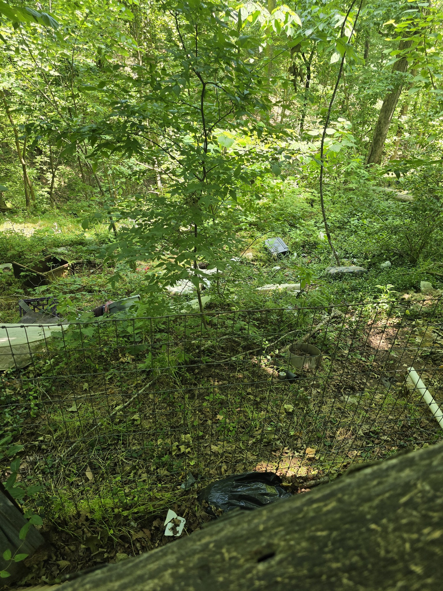 701 Stinson Road Bon Aqua TN 37025