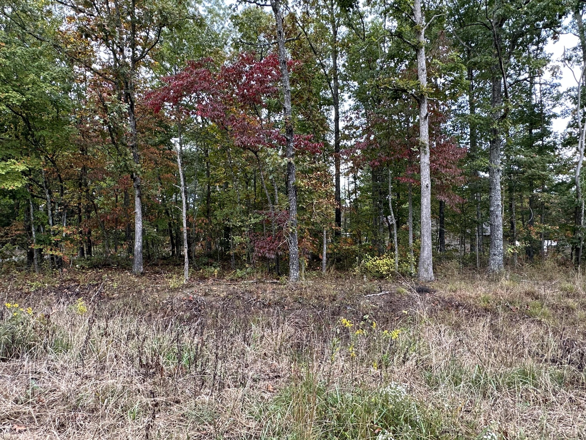 7000 Topez Drive Crossville TN 38572