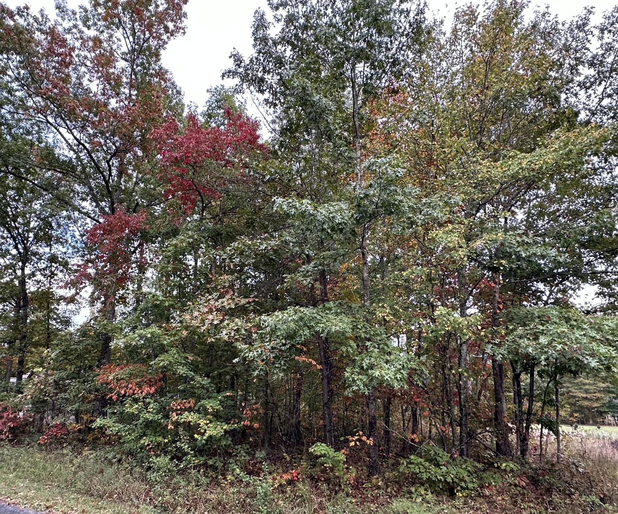 7000 Topez Drive Crossville TN 38572