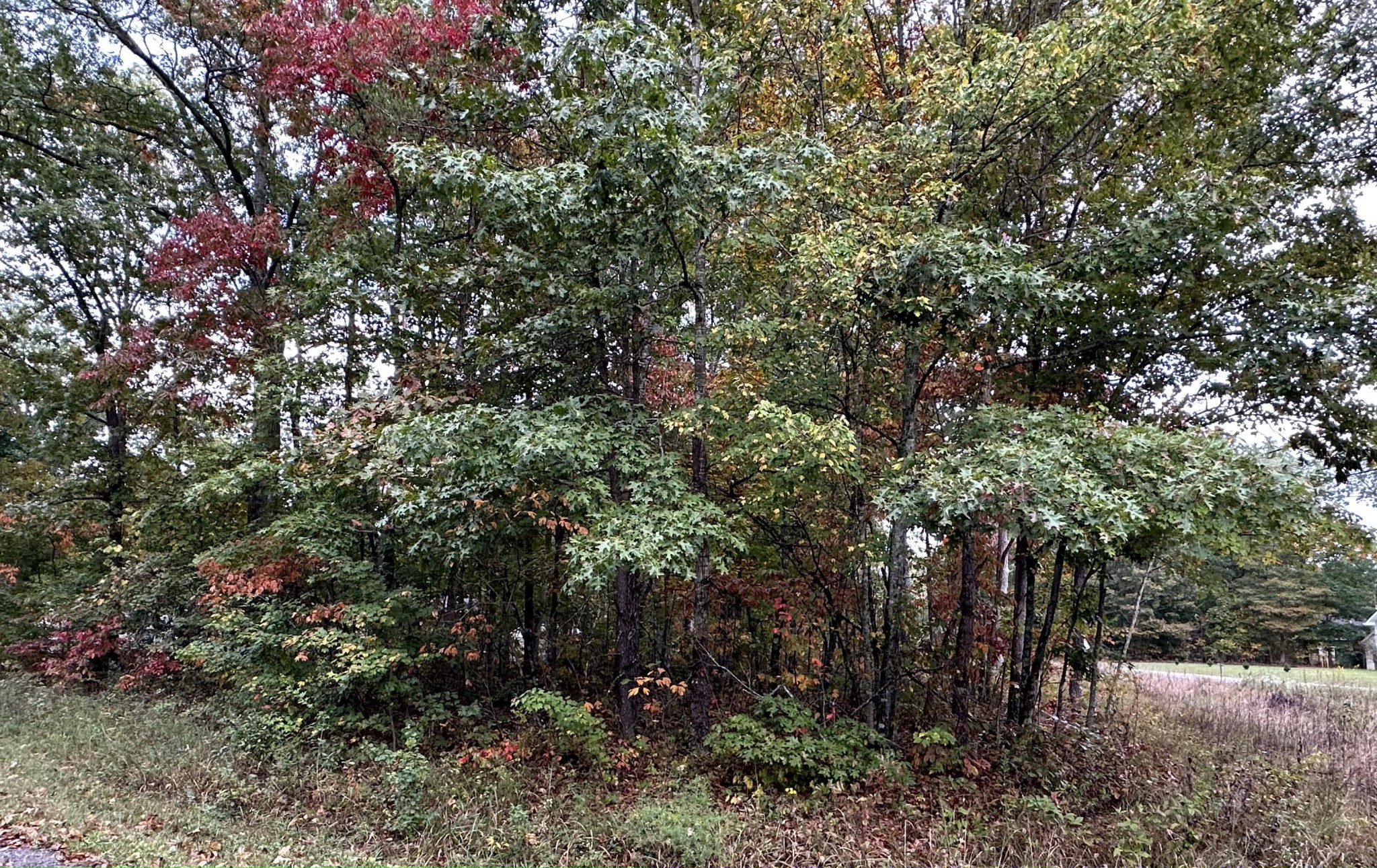 7000 Topez Drive Crossville TN 38572