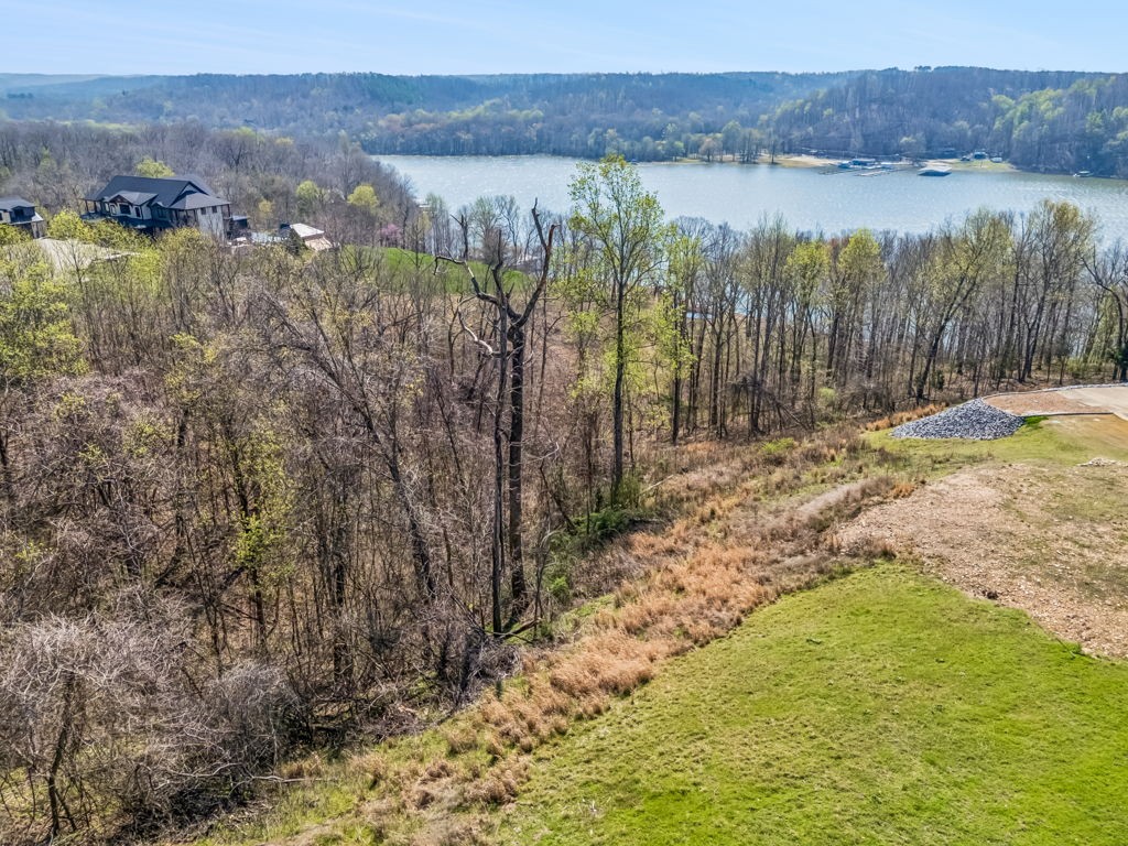 0 River Trace Drive Dover TN 37058