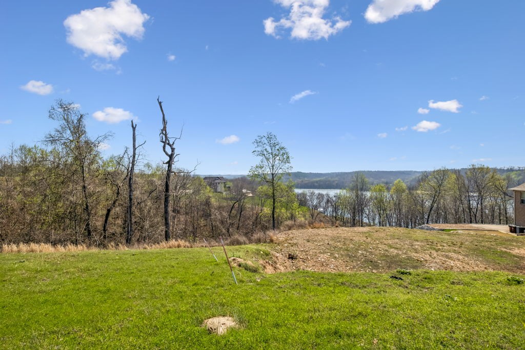 0 River Trace Drive Dover TN 37058