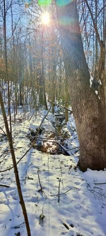1295 Old Natchez Trace Trail Camden TN 38320