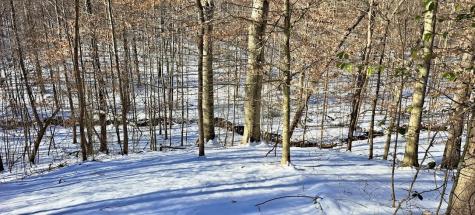 1295 Old Natchez Trace Trail Camden TN 38320