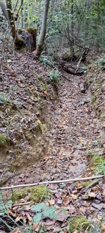 1295 Old Natchez Trace Trail Camden TN 38320