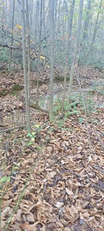 1295 Old Natchez Trace Trail Camden TN 38320