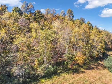 13581 Campbellsville Road Lot 2 Lynnville TN 38472