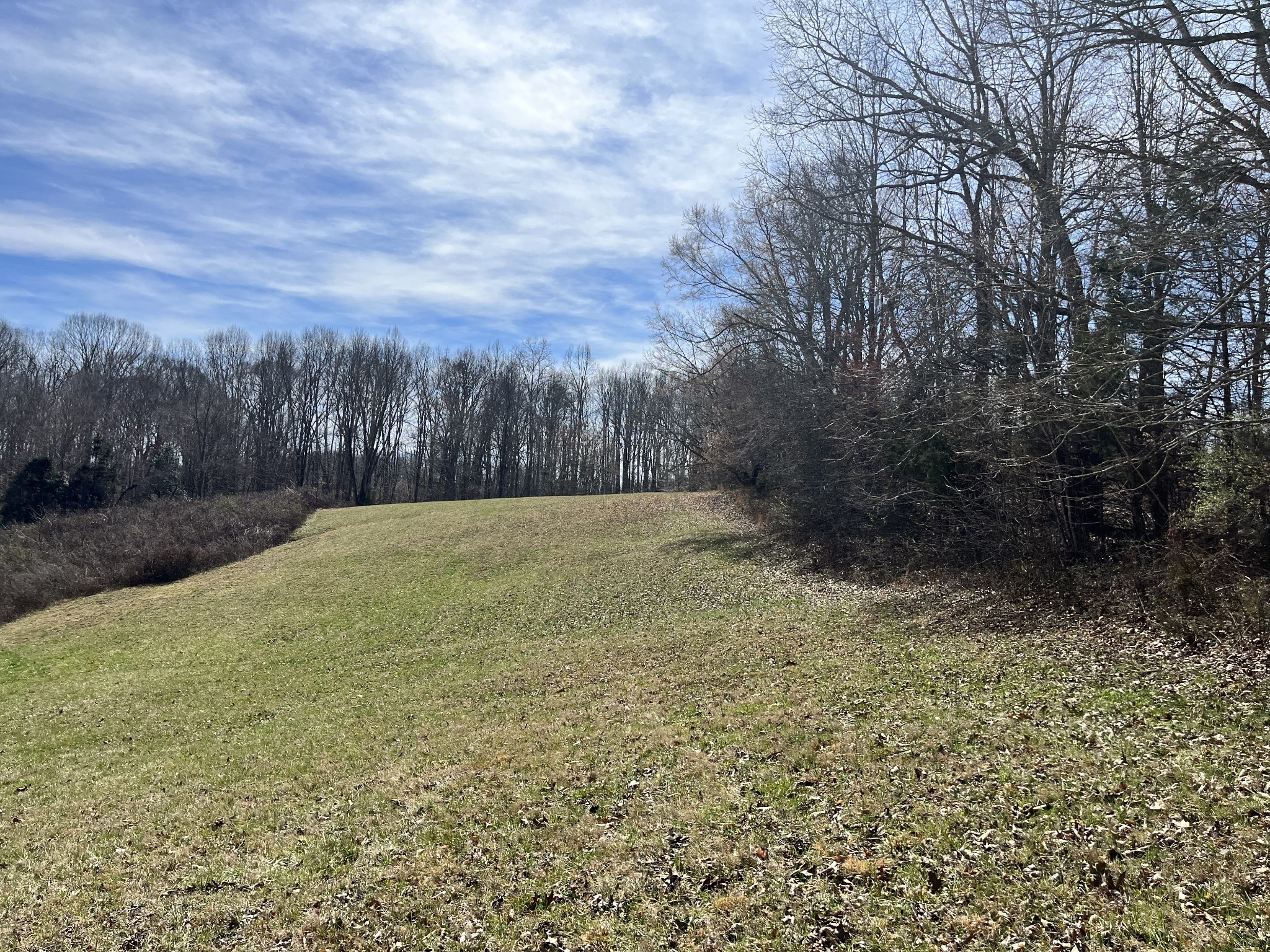 120 Holly Bend Drive Byrdstown TN 38549