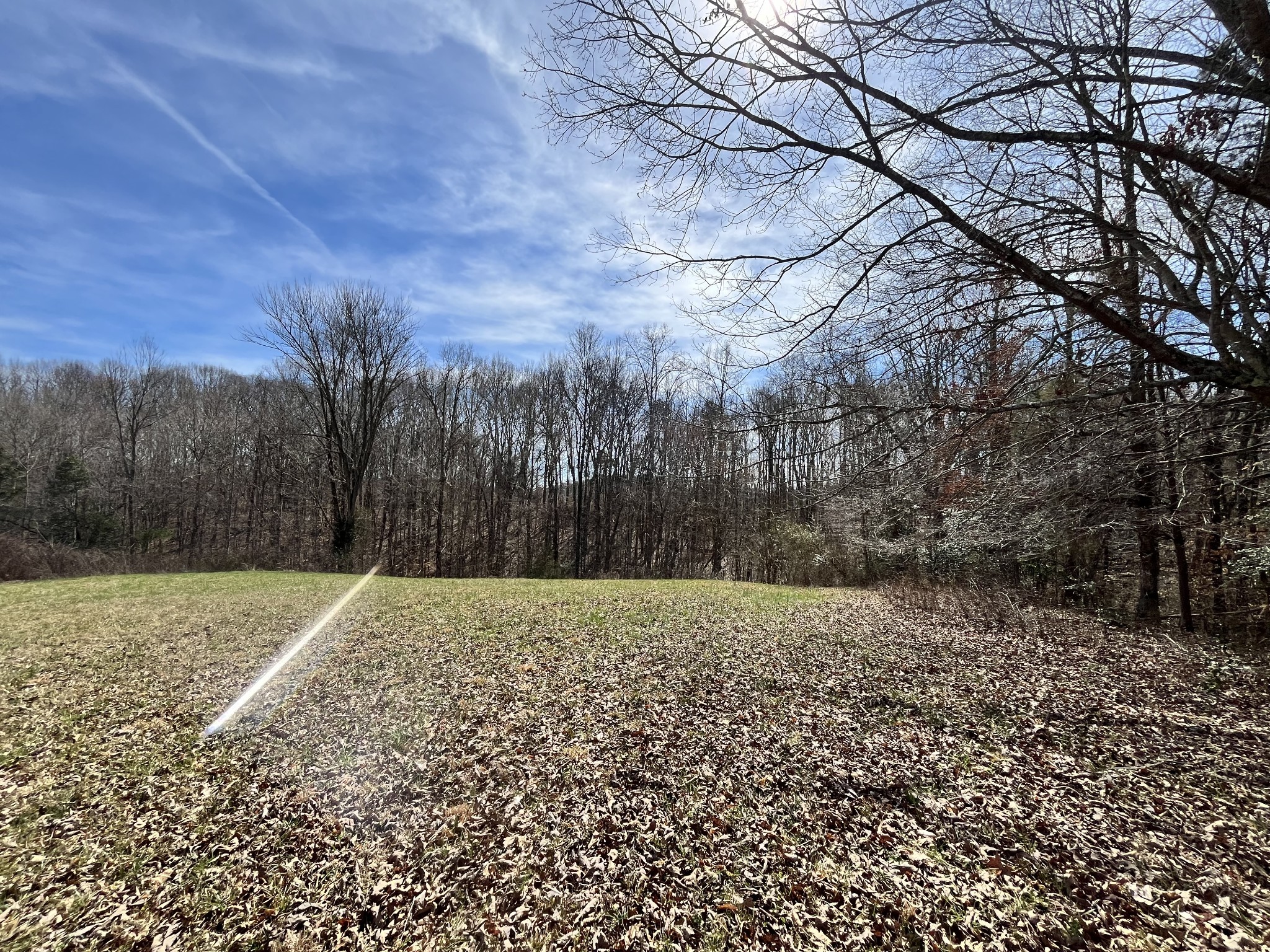 120 Holly Bend Drive Byrdstown TN 38549