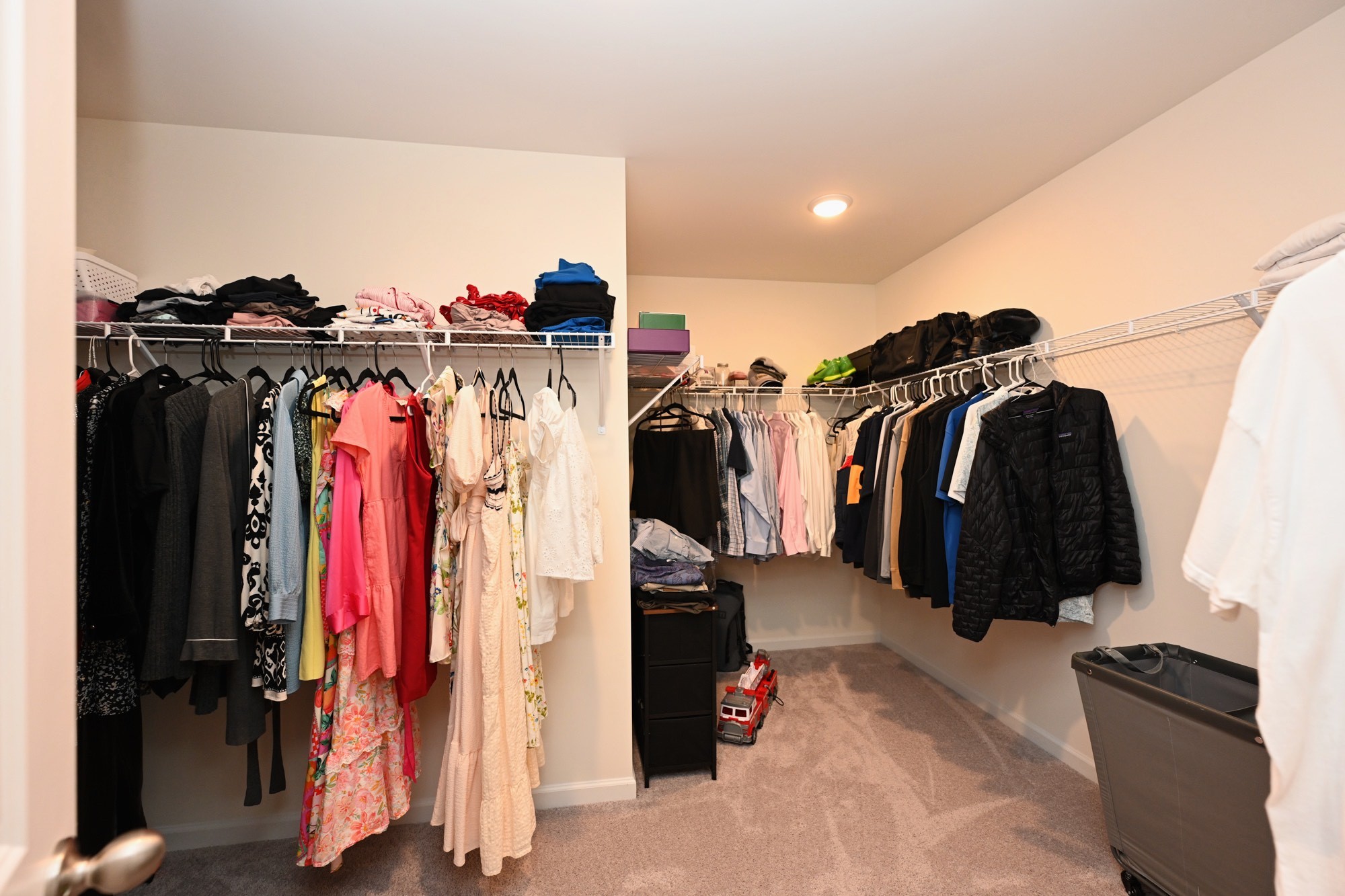 1059 Large Poppy Drive La Vergne TN 37086