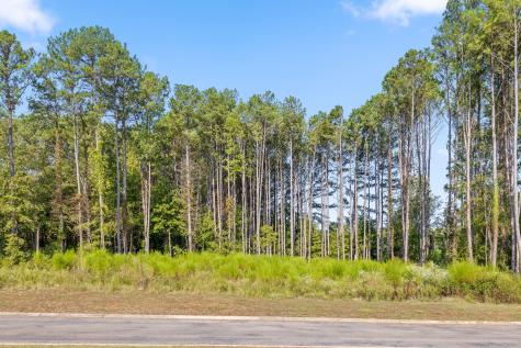 67 Clubhouse Drive Jasper TN 37347