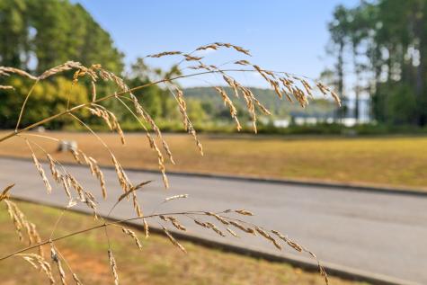 67 Clubhouse Drive Jasper TN 37347