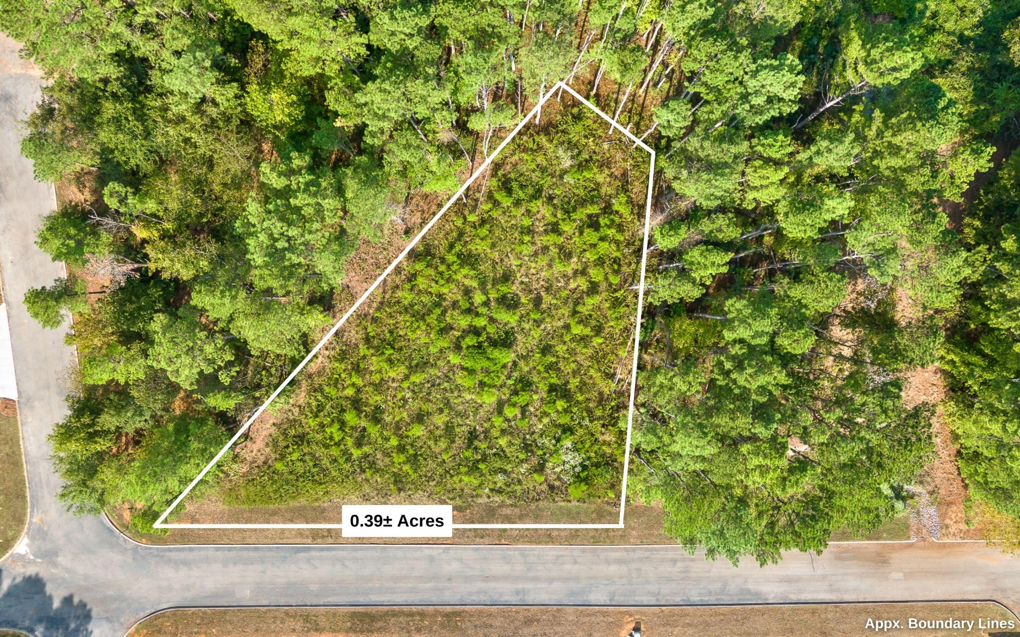 67 Clubhouse Drive Jasper TN 37347