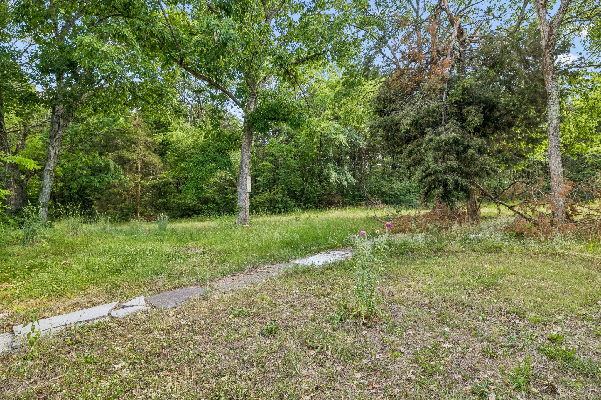 8269 Rocky Fork Almaville Road Smyrna TN 37167
