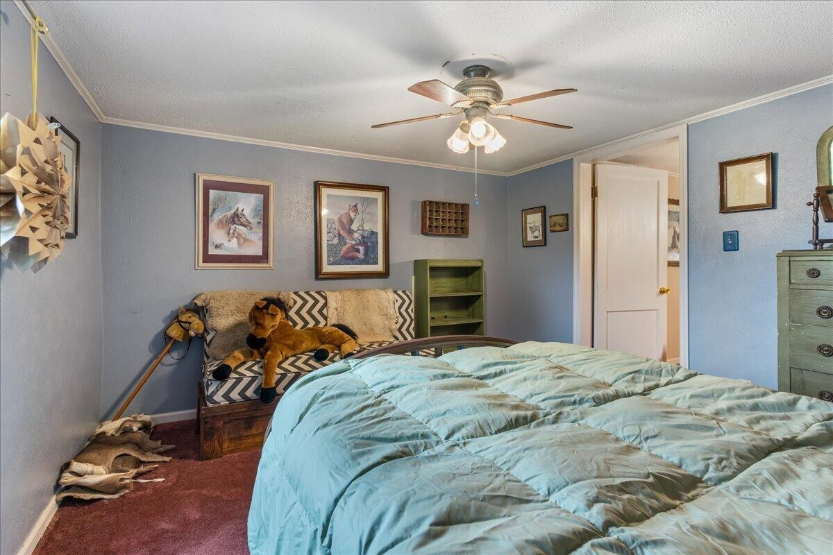 1245 Paint Rock Valley Road Philadelphia TN 37846