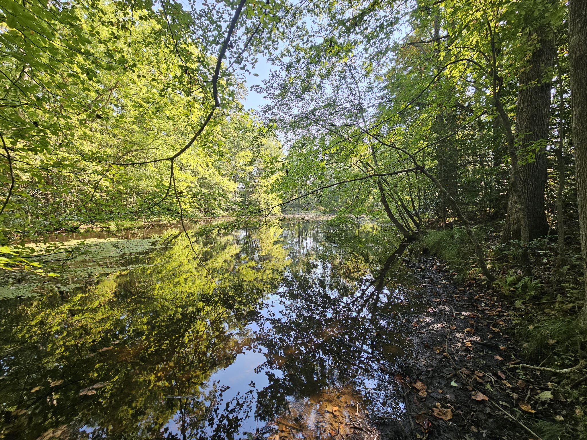 71 Sr 108 Gruetli Laager TN 37339