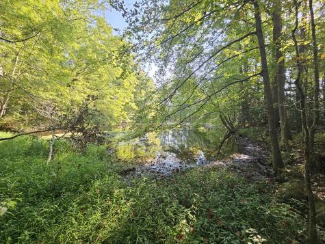 71 Sr 108 Gruetli Laager TN 37339