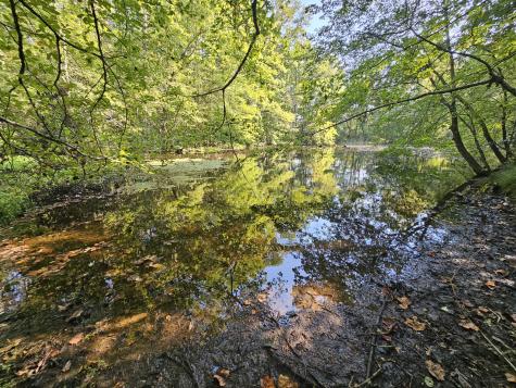 71 Sr 108 Gruetli Laager TN 37339