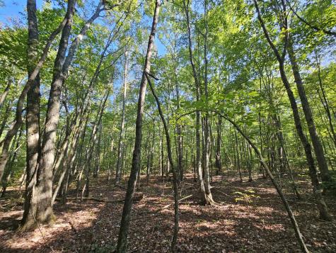 71 Sr 108 Gruetli Laager TN 37339