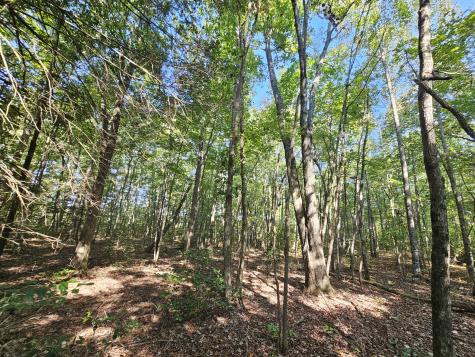 71 Sr 108 Gruetli Laager TN 37339