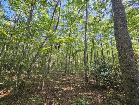 71 Sr 108 Gruetli Laager TN 37339