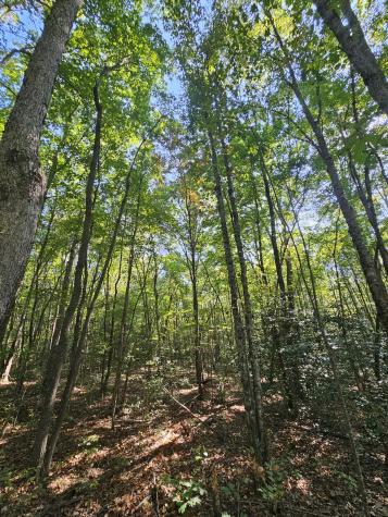 71 Sr 108 Gruetli Laager TN 37339