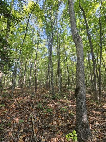 71 Sr 108 Gruetli Laager TN 37339