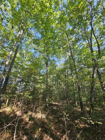 71 Sr 108 Gruetli Laager TN 37339