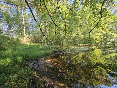 71 Sr 108 Gruetli Laager TN 37339