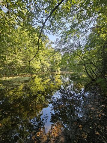 71 Sr 108 Gruetli Laager TN 37339