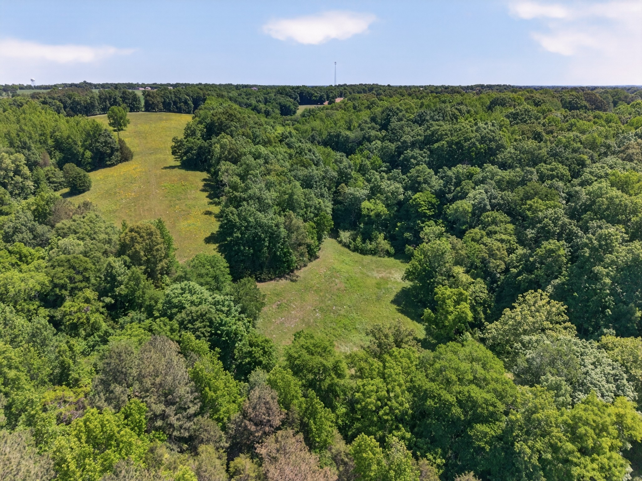 37 Old Mclemore Road Taft TN 38488