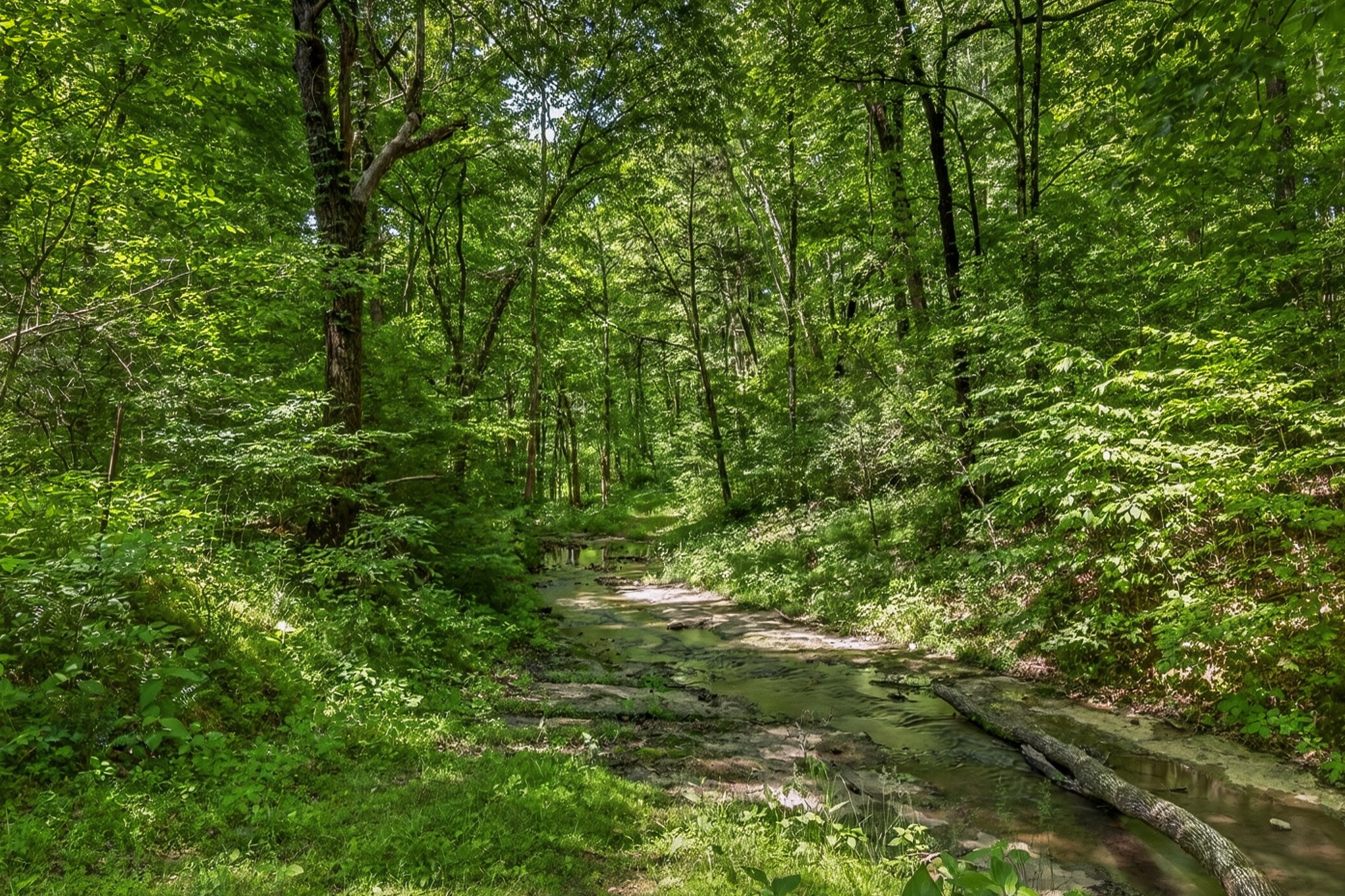 37 Old Mclemore Road Taft TN 38488