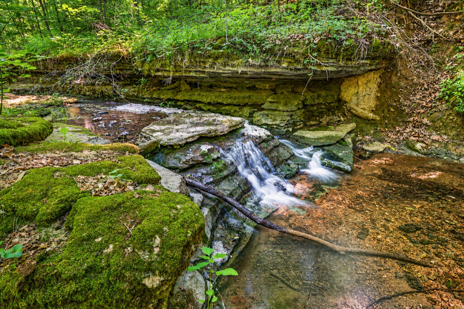 37 Old Mclemore Road Taft TN 38488