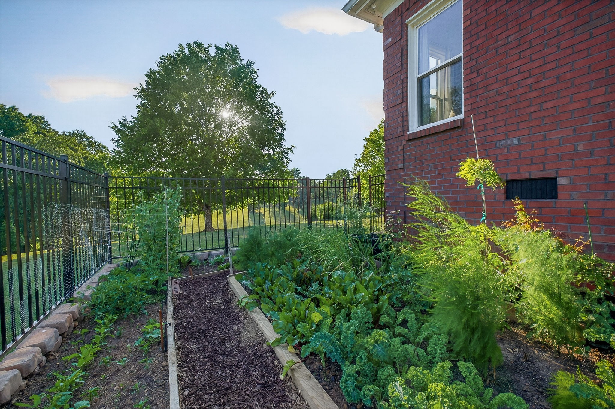 256 Kings Pointe Lane Mcminnville TN 37110