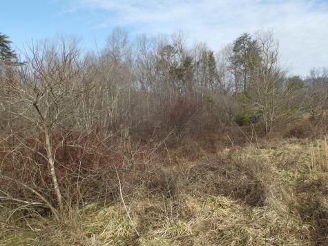 0 Main Street Palmer TN 37365