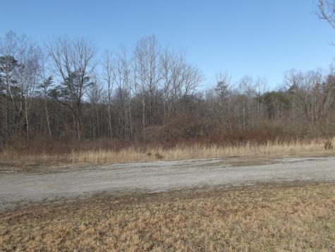 0 Main Street Palmer TN 37365